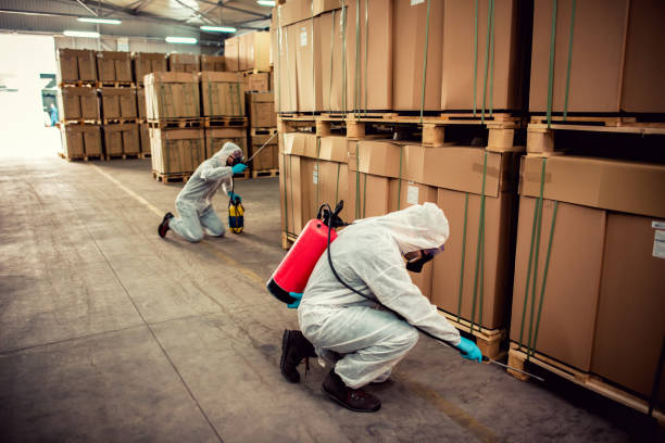 Best Commercial Pest Control Services  in Kingsbury, NV