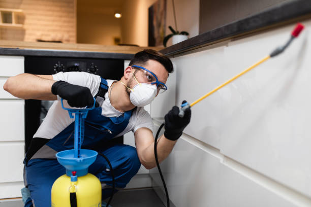 Best Ant Control Services  in Kingsbury, NV