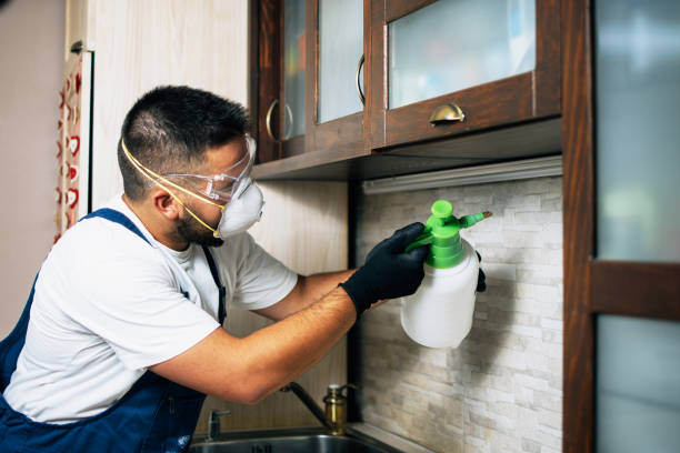Best Pest Inspection Near Me  in Kingsbury, NV