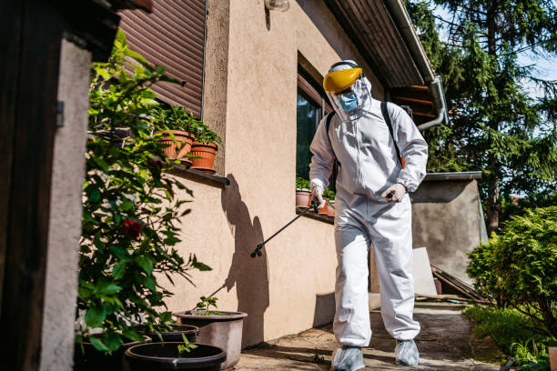 Best Mosquito Control Services  in Kingsbury, NV