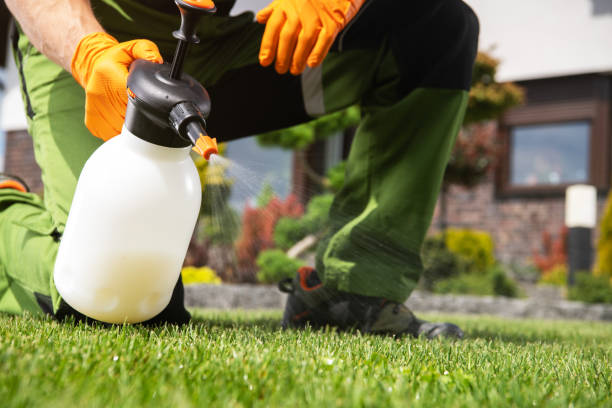 Best Affordable Pest Control Services  in Kingsbury, NV