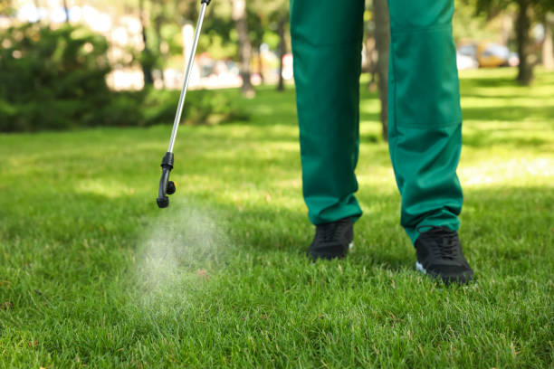 Best Wasp Removal Services  in Kingsbury, NV