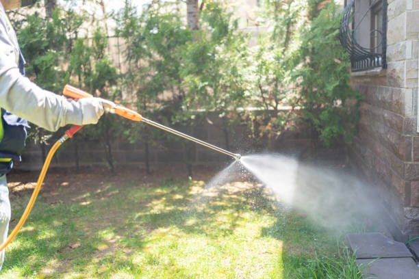 Best Best Pest Control Companies  in Kingsbury, NV