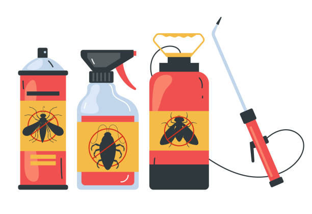 Professional Pest Control in Kingsbury, NV