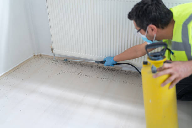 Best Pest Prevention Services  in Kingsbury, NV