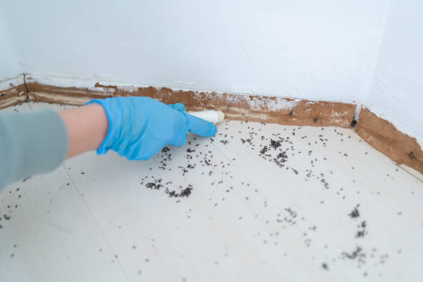 Best Wildlife Control Services  in Kingsbury, NV