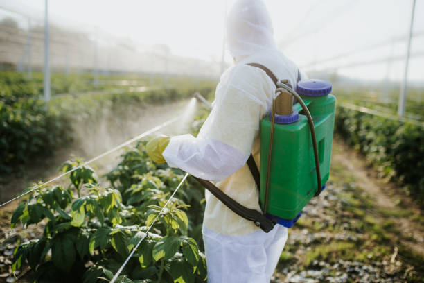 Best Best Pest Control Companies  in Kingsbury, NV
